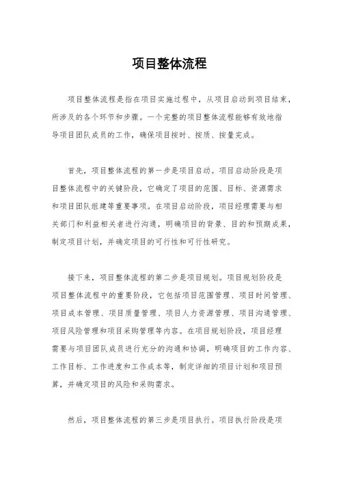 项目整体流程