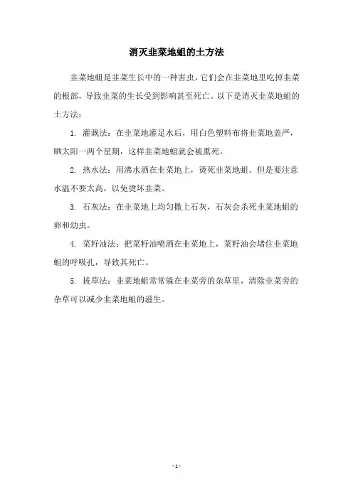 消灭韭菜地蛆的土方法