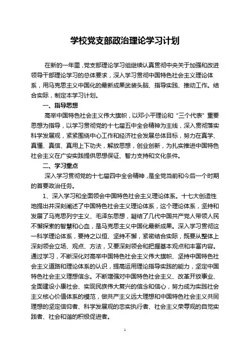学校党支部理论学习计划