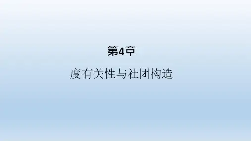20_复杂网络度相关性和社团结构讲义