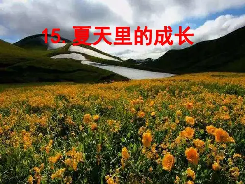 15.夏天里的成长