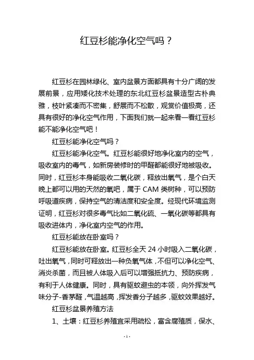 红豆杉能净化空气吗？