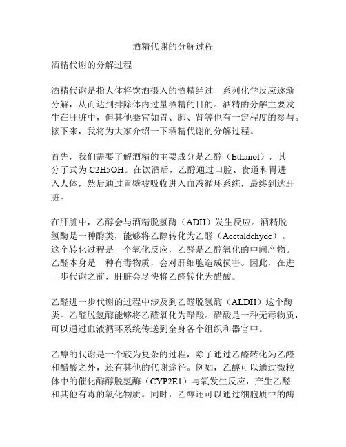酒精代谢的分解过程