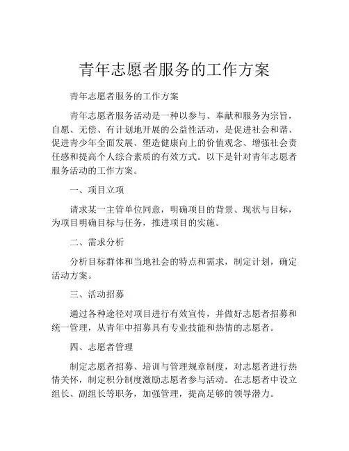 青年志愿者服务的工作方案
