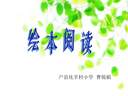 绘本阅读说明PPT课件