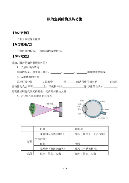 牛津上海版(五四学制)科学七年级上册：11.2.2 眼的主要结构及其功能  学案
