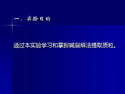 质粒DNA的提取和鉴定