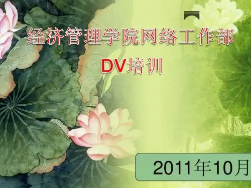 DV培训专用