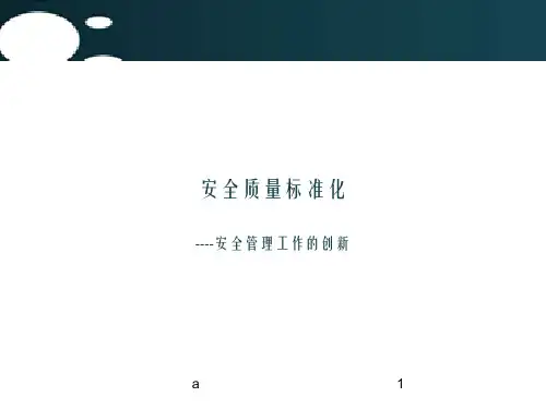 安全质量标准化(讲稿)