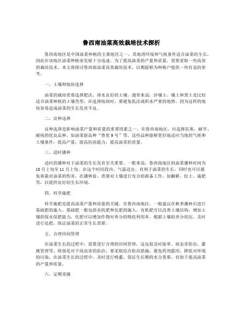 鲁西南油菜高效栽培技术探析