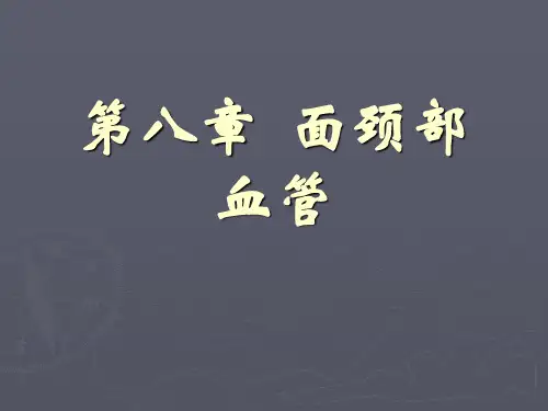 口腔解剖生理学 血管、淋巴