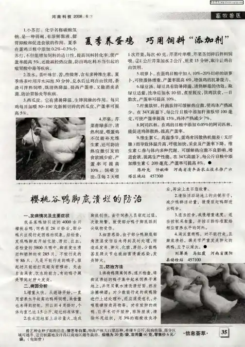 夏季养蛋鸡 巧用饲料“添加剂”