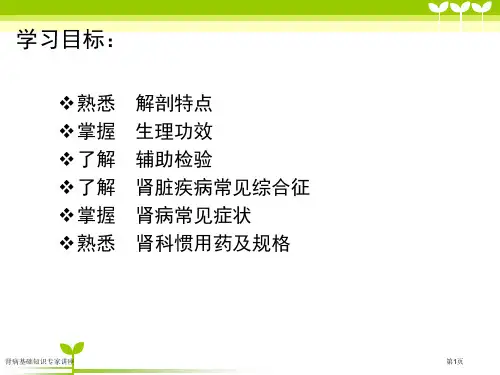 肾病基础知识专家讲座