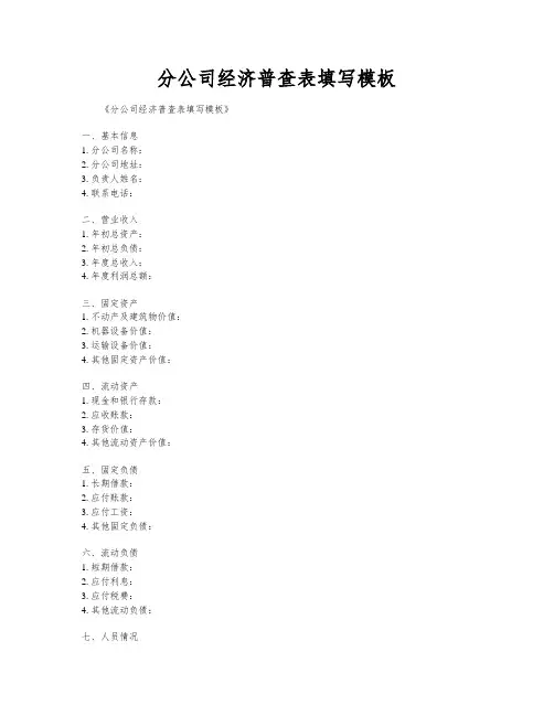 分公司经济普查表填写模板