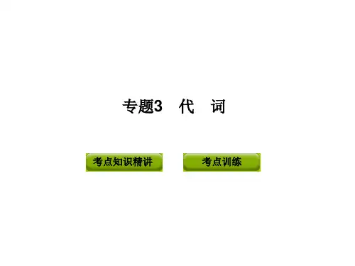 2012年中考英语复习语法专题3__代词