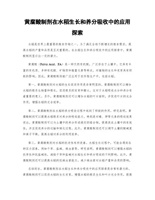 黄腐酸制剂在水稻生长和养分吸收中的应用探索