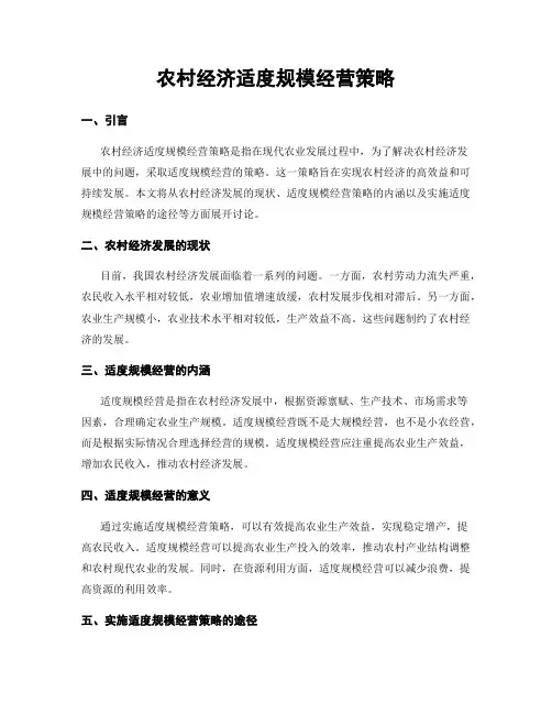 农村经济适度规模经营策略
