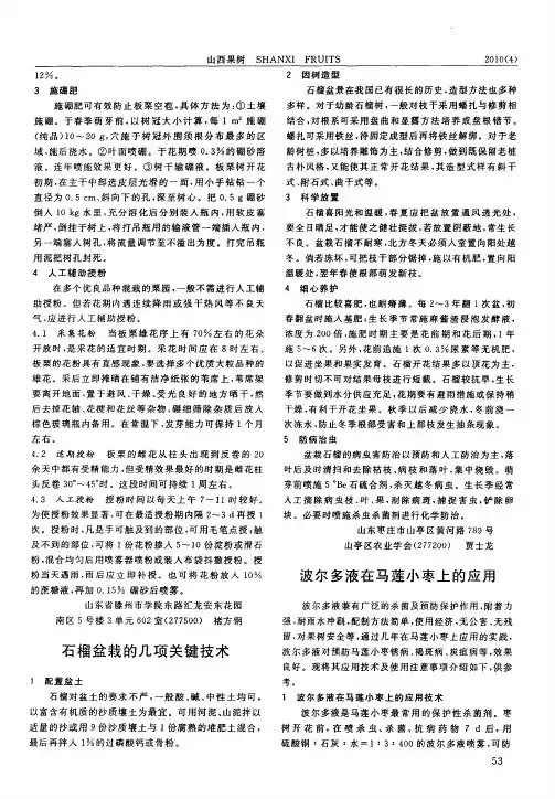 石榴盆栽的几项关键技术