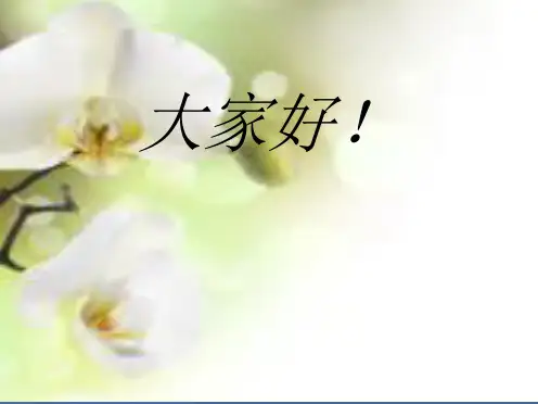 汇率制度演变