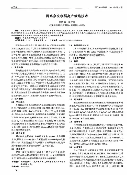 两系杂交水稻高产栽培技术
