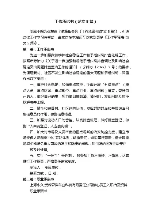工作承诺书（范文5篇）