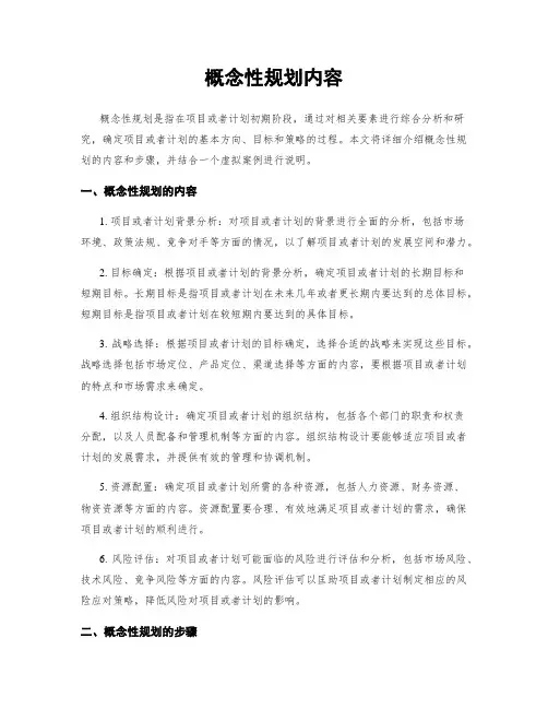 概念性规划内容