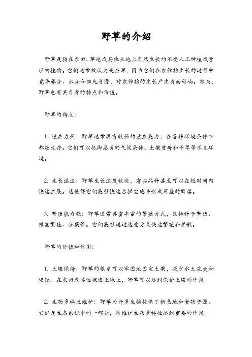 野草的介绍