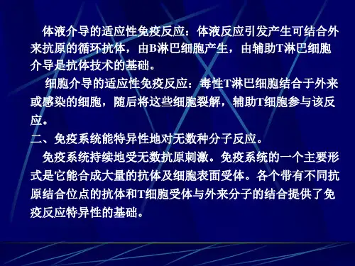 杂交瘤技术和单克隆抗体技术