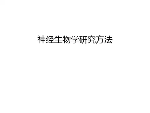 神经生物学研究方法讲解学习