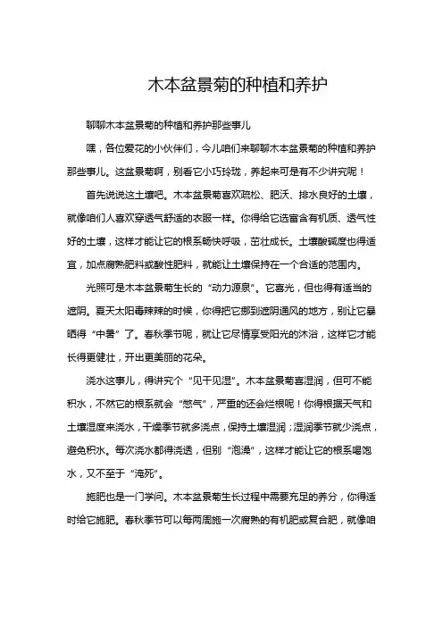 木本盆景菊的种植和养护
