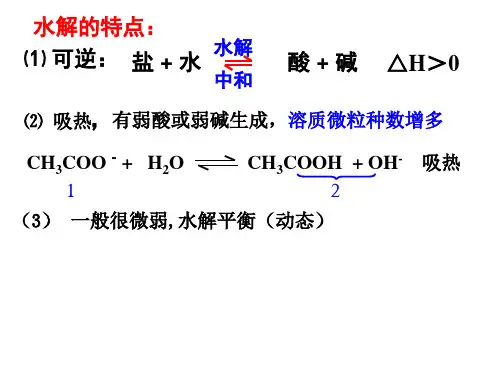 水解离子方程式的书写