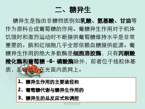 糖代谢其他途径