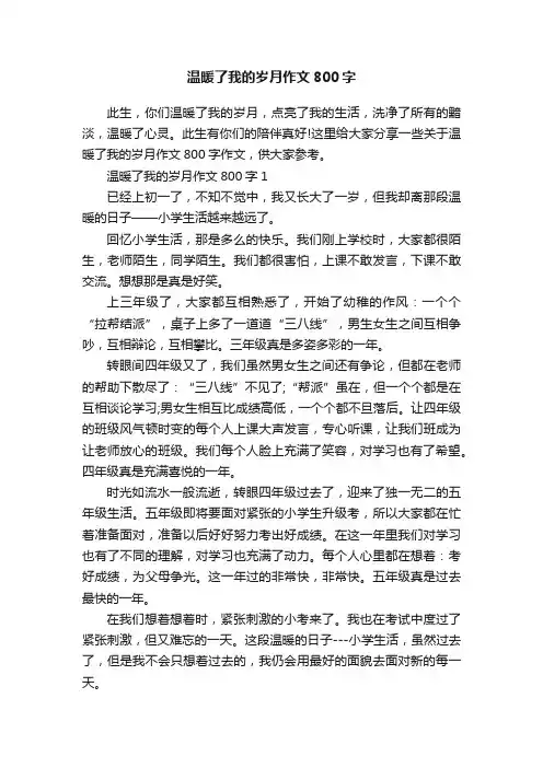 温暖了我的岁月作文800字