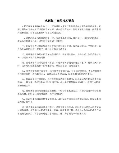 水稻集中育秧技术要点