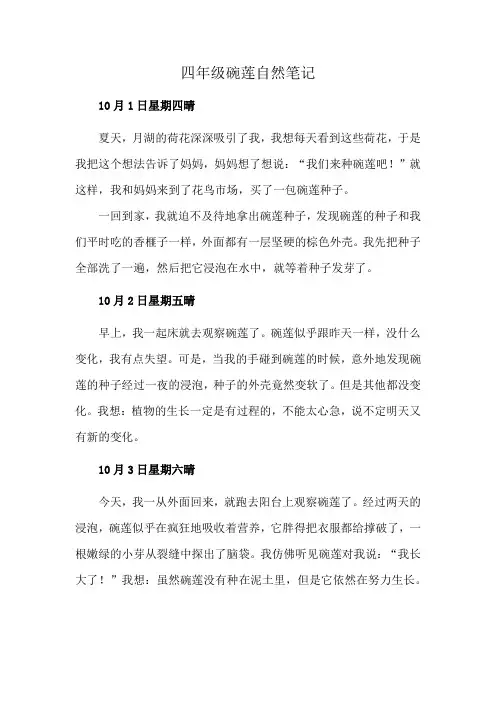 四年级碗莲自然笔记