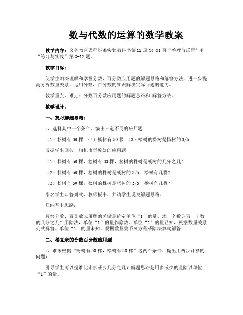 数与代数的运算的数学教案