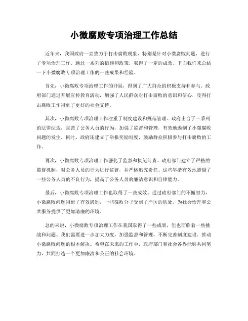 小微腐败专项治理工作总结