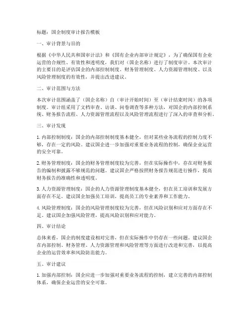 国企制度审计报告模板