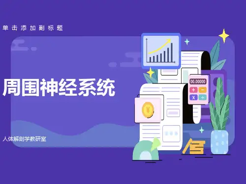 习题七周围神经系统