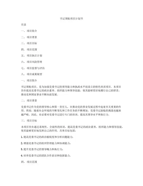 书记领航项目计划书