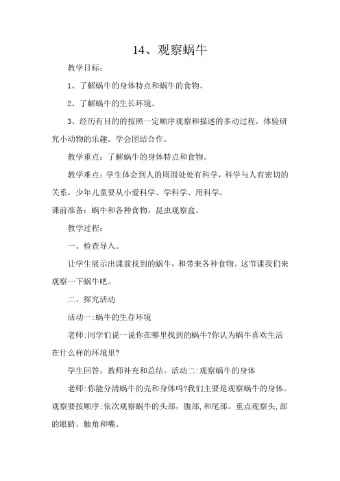 (教育部审定)青岛出版社小学二年级科学(下册)《14、观察蜗牛》教学设计