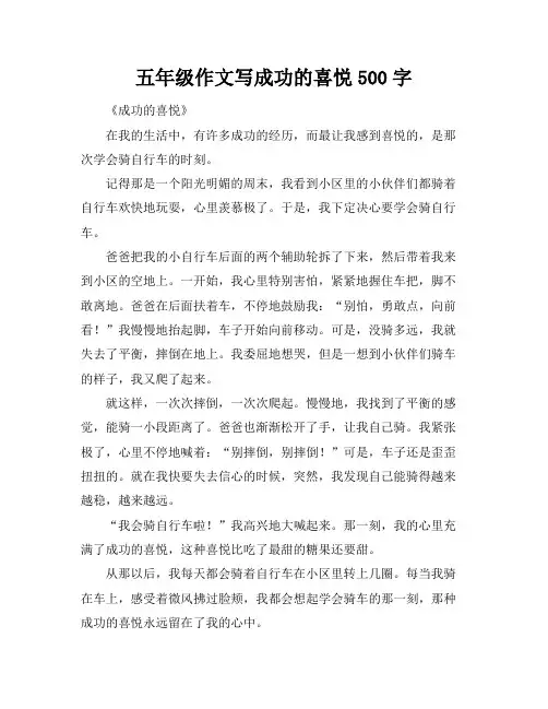 五年级作文写成功的喜悦500字