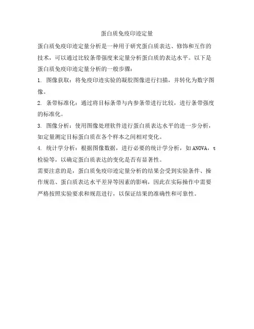 蛋白质免疫印迹定量