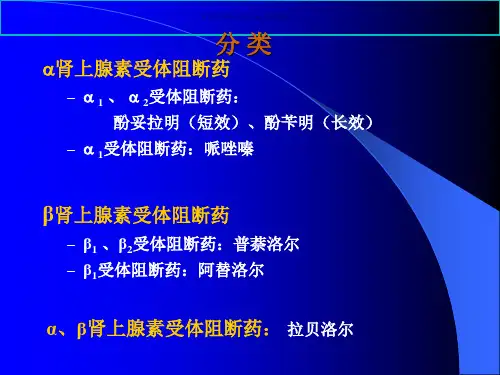药理学肾上腺素受体阻断药