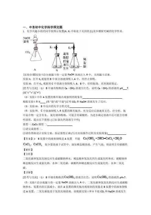 2020-2021备战中考化学《探究题的综合》专项训练