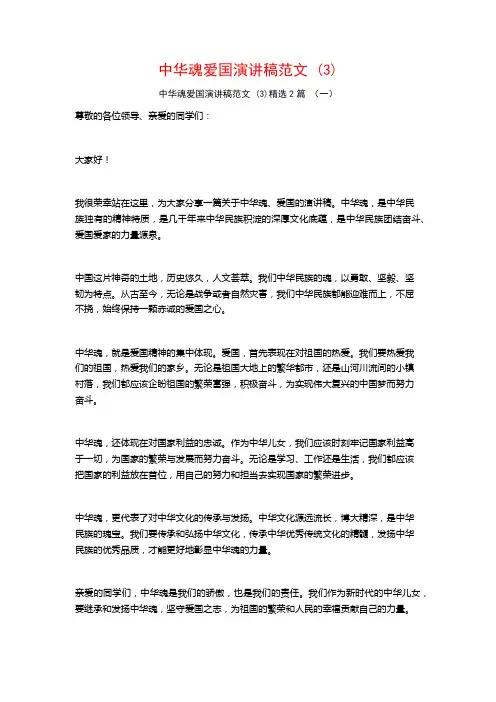 中华魂爱国演讲稿范文2篇
