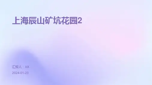 上海辰山矿坑花园2