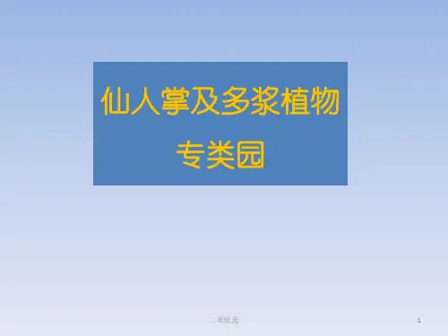 仙人掌及多浆植物专类园设计[专业严选]