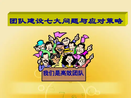 团队建设七大问题与应对策略(学员)