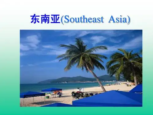 湘教版 高中区域地理 东南亚  特别好!